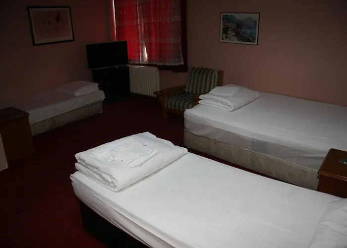 أوز ألتين باشاك *